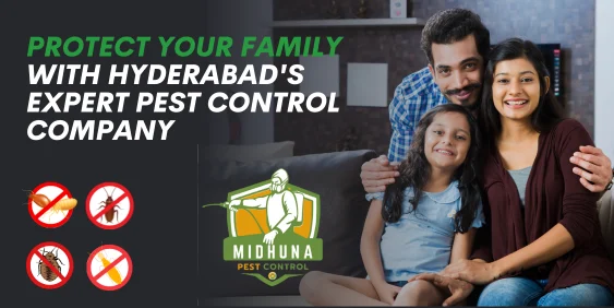 Affordable Pest Control Services | Satisfaction Guaranteed